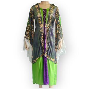 Disney Hocus Pocus Winifred Sanderson Costume Dress Halloween Cosplay OS / Large